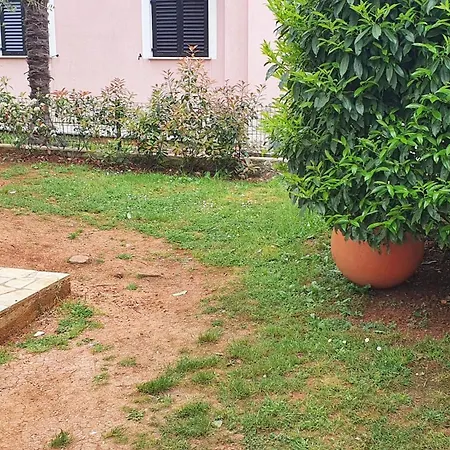 Apartment Cintya